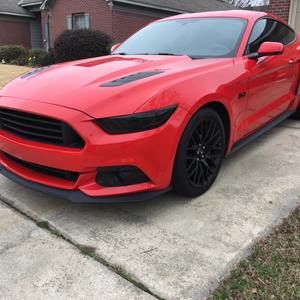 Meet your Posher, Terry